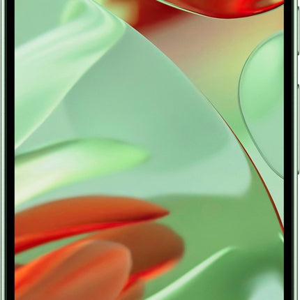 Google Pixel 9 256GB
