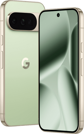 Google Pixel 10 Pro 256GB