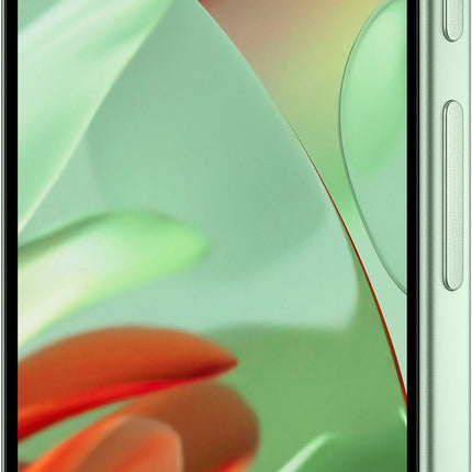 Google Pixel 9 256GB