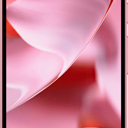 Google Pixel 9 256GB