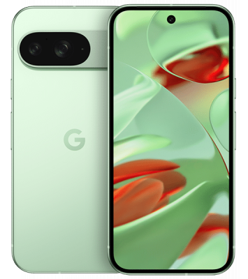 Google Pixel 9 256GB